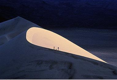 《怪物猎人：荒野》计划5月底追加中文配音